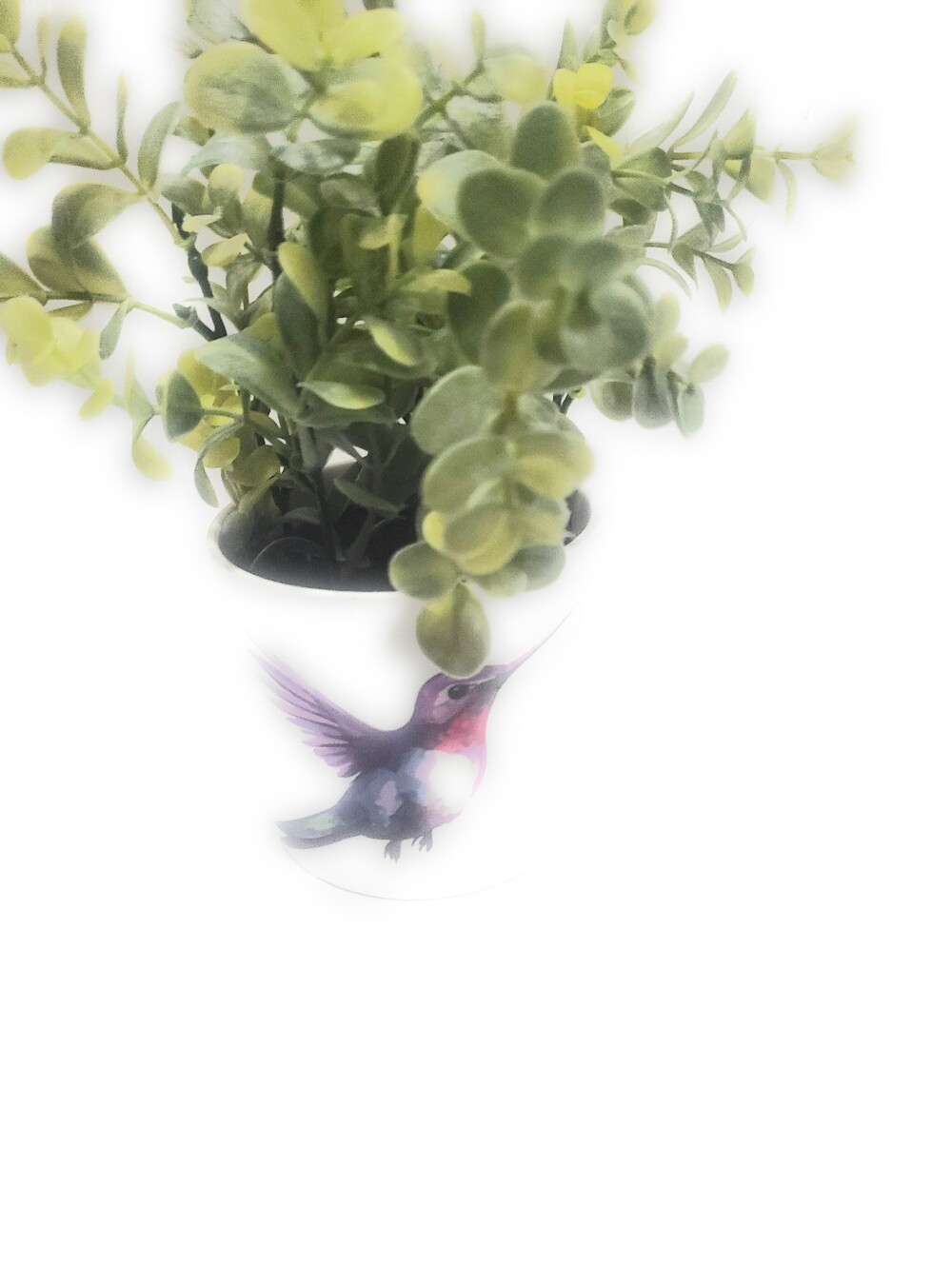 Light Up Plant - Picture 2 of 16